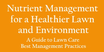Lawn Care Guide