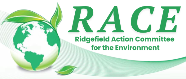 RACE logo