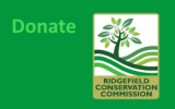 RCC Donation Button