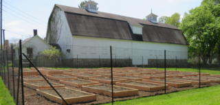 FES Community Garden